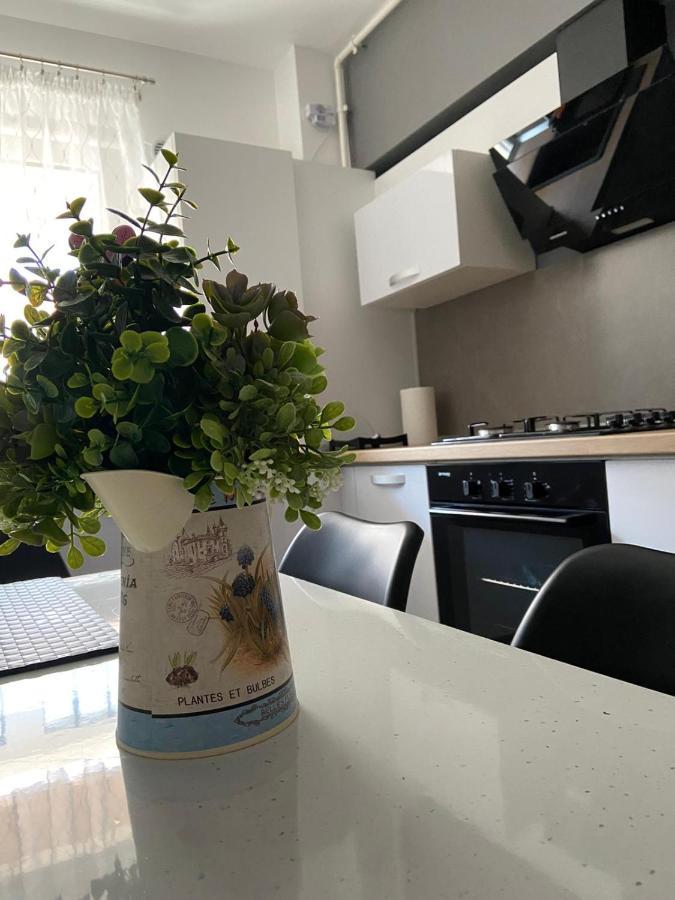 Qualis Apartament Brašov Exteriér fotografie
